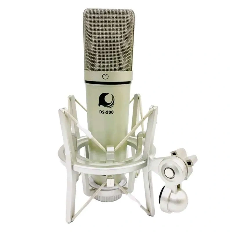Dolphin_sound_ds-200_mk2_professional_studio_condenser_microphone Dolphin sound ds 200 mk2 professional studio condenser microphone