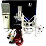 Dolphin sound ds 200 mk2 professional studio condenser microphone boxser