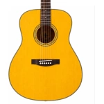 Donner DVG600 D Accoustic Guitars