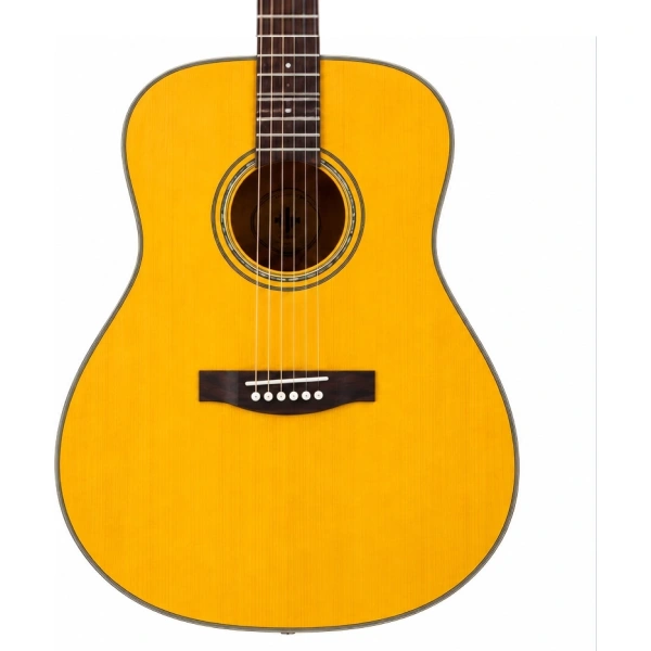 Donner DVG600 D Accoustic Guitars
