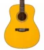 Donner DVG600 D Accoustic Guitars