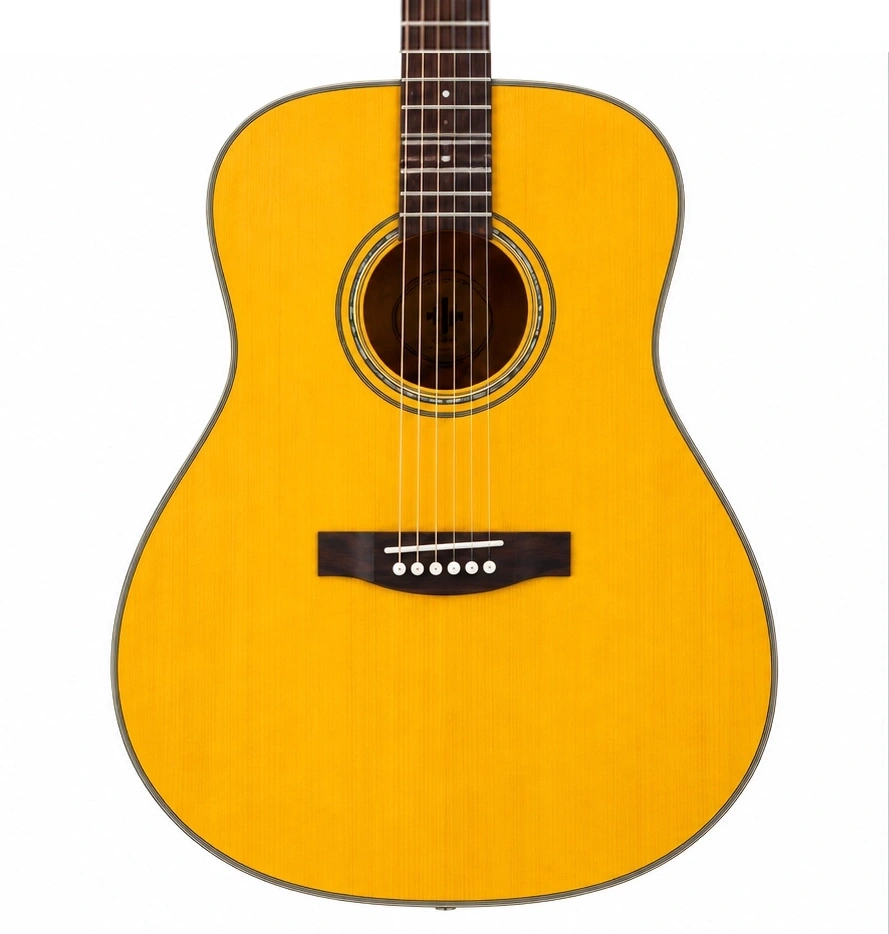 Donner-DVG600-D-Accoustic-Guitars Donner DVG600 D Accoustic Guitars