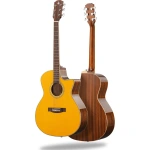 Donner DVG600 GA Accoustic Guitar