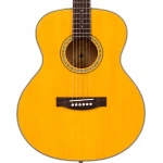 Donner DVG600 OM Accoustic Guitars