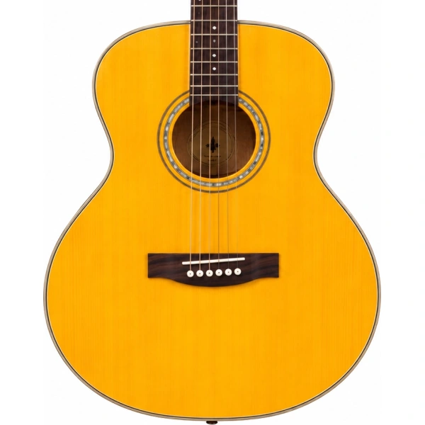 Donner DVG600 OM Accoustic Guitars