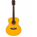 Donner DVG600 OM Accoustic Guitars Orchestra Model