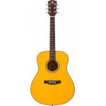 Donner dvg600 d tipo dreadnought
