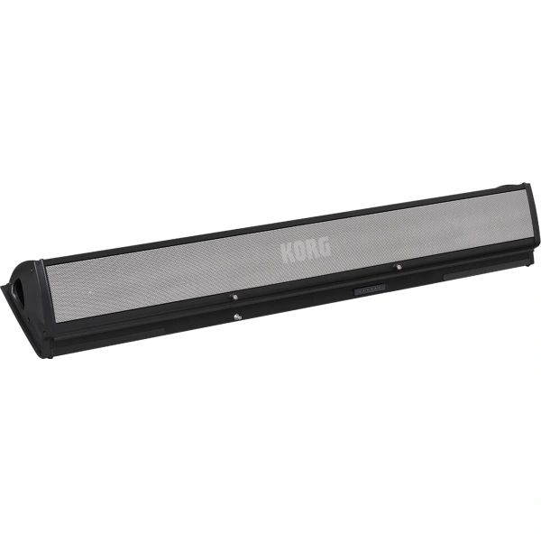 KORG PAASMK2 Amplifier for Korg Pa x stereo