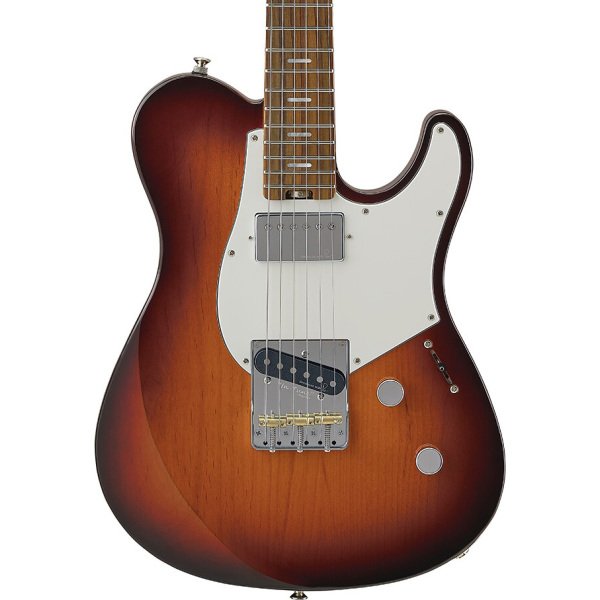 PACS PLUS 11S DTB Desert Burst body