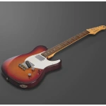 PACS PLUS 11S DTB Desert Burst rear