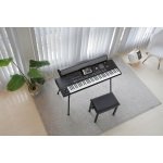 PaAS MK2 Speaker Korg Pa x series rear