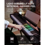 Donner dp s500 upright hammer action digital piano light