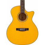 Donner dvg600 ga acoustic