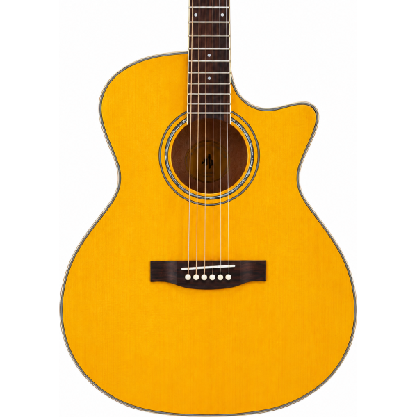 Donner dvg600 ga acoustic