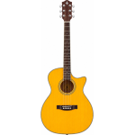 Donner dvg600 ga acoustic guitars